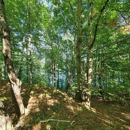 Hytte Narie 2 Güldenboden Exterior foto